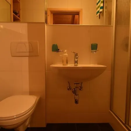 Tiroler Mit Panoramablick * Reith im Alpbachtal